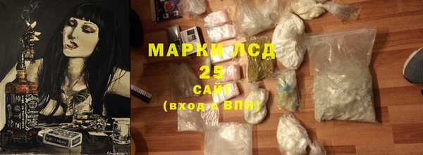 индика Арсеньев