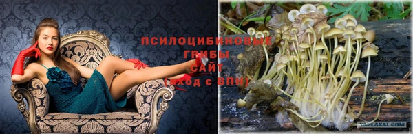 кокаин Баксан