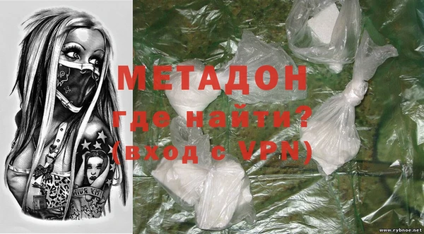 индика Арсеньев